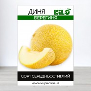 Семена дыни Берегиня, 100г